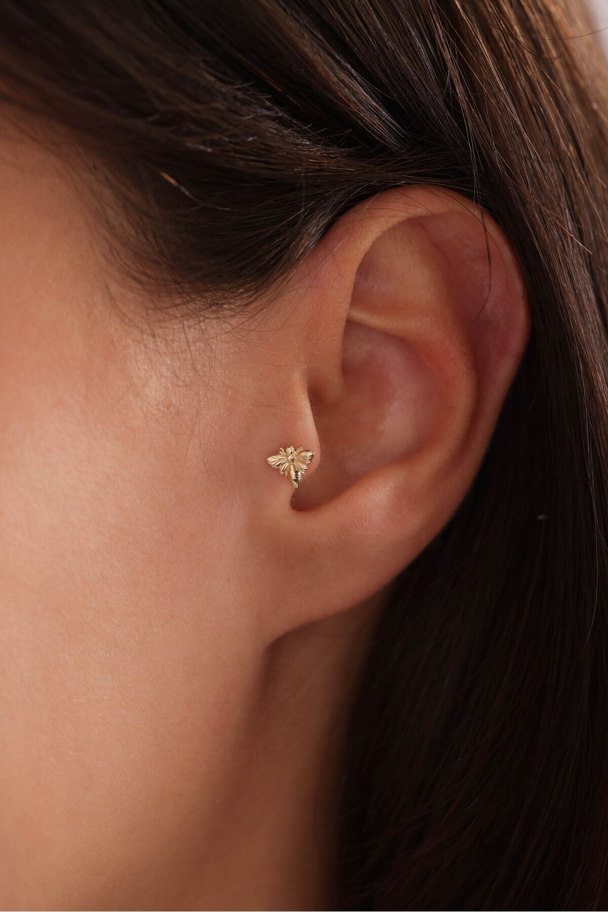 14 Ayar Altın Arı Tragus Küpe