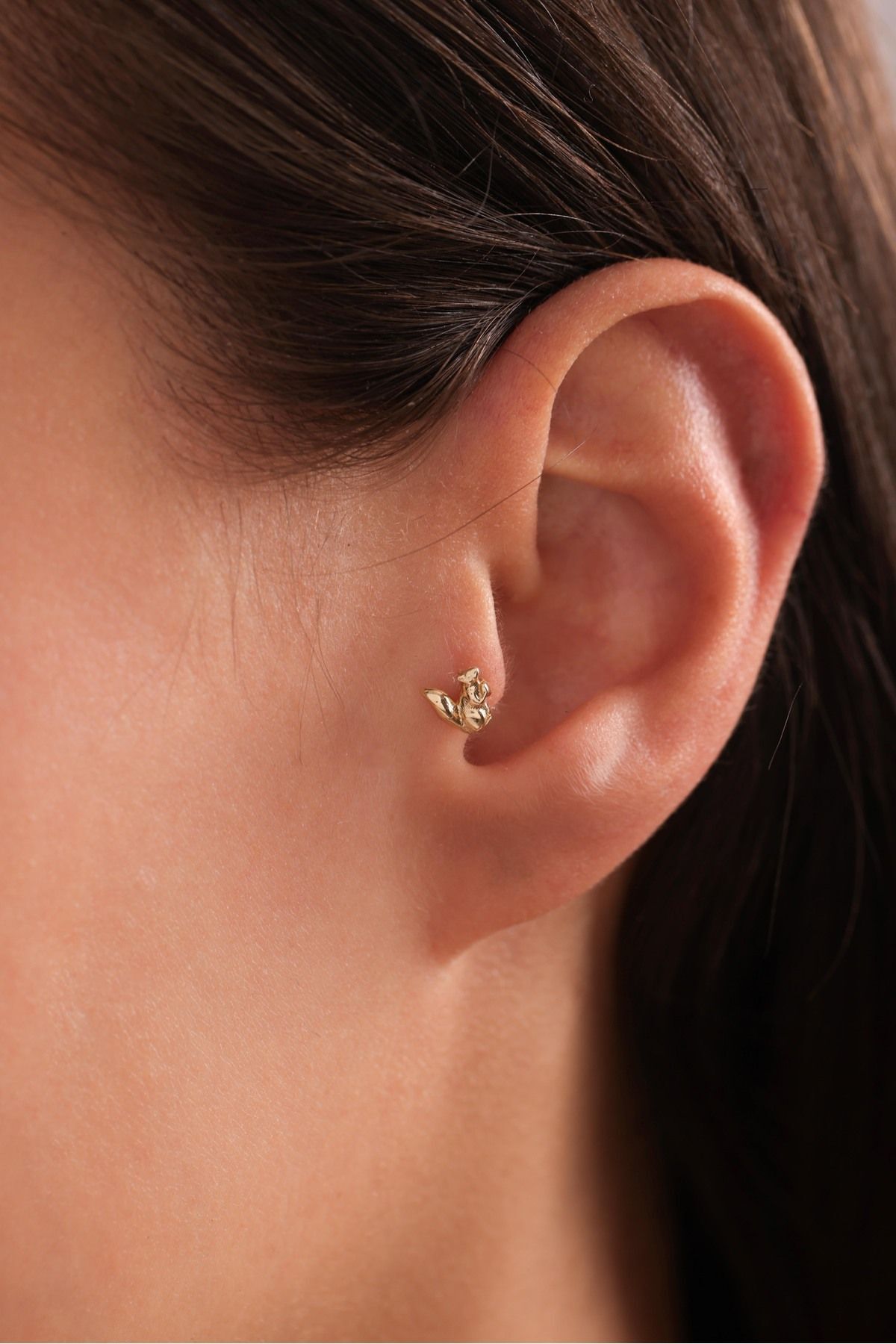 14 Ayar Altın Sincap Tragus Küpe