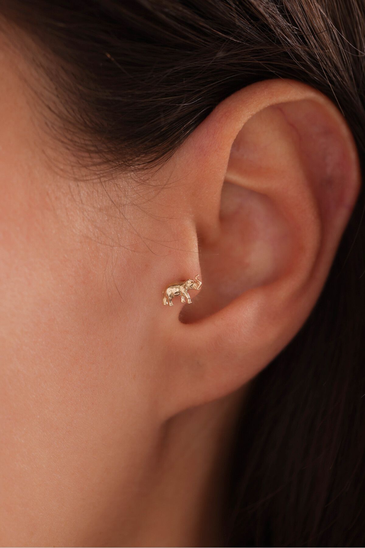 14 Ayar Altın Fil Tragus Küpe