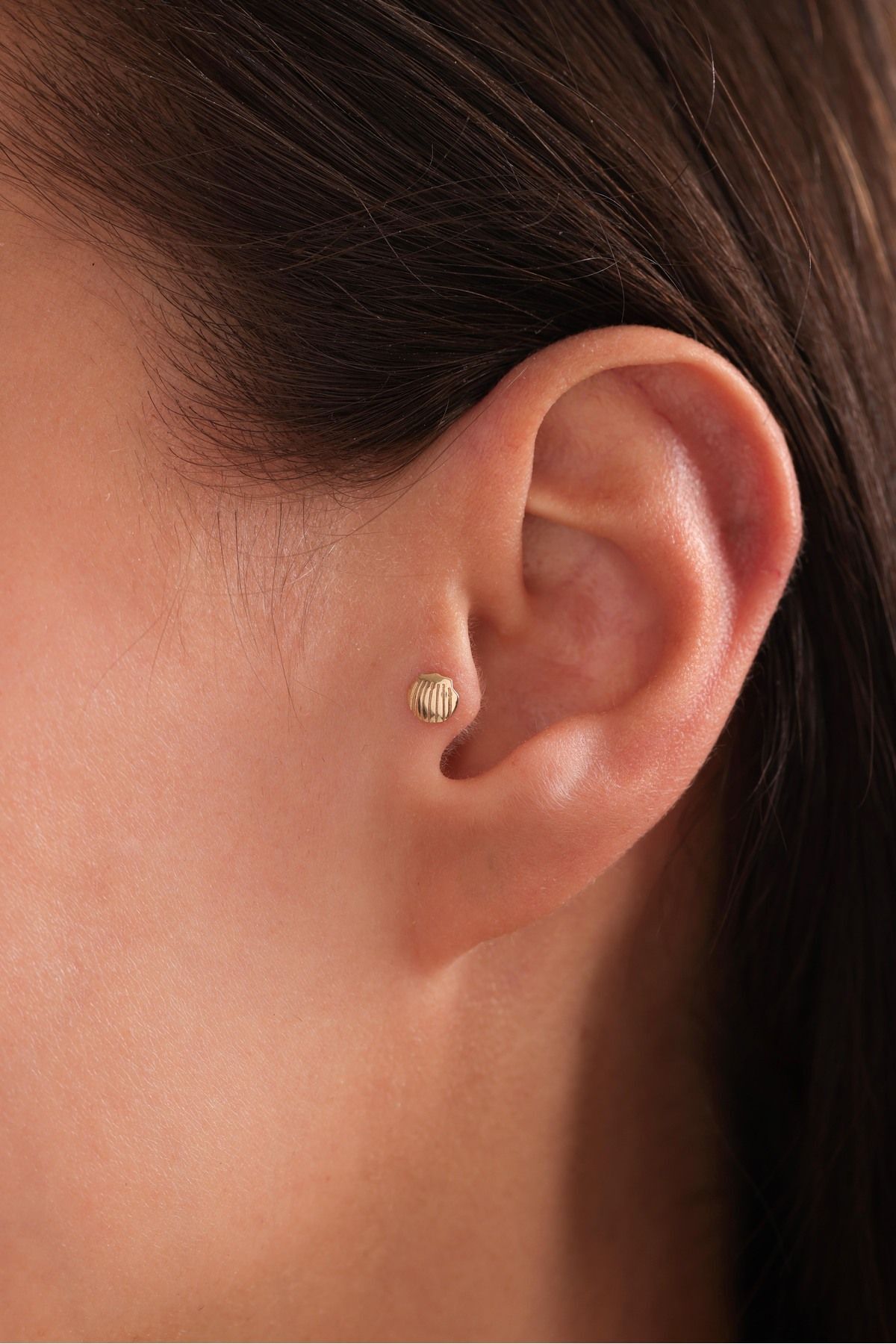 14 Ayar Altın Shell Deniz Kabuğu Tragus Küpe